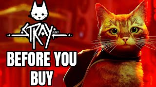 STRAY  12 Things You NEED TO KNOW Before You Buy [upl. by Eladnor]