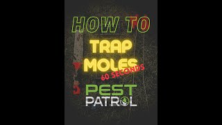 How to trap moles explained in 60 seconds [upl. by Stacy]