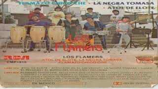 LOS FLAMERSATOL DE ELOTE [upl. by Aeresed]