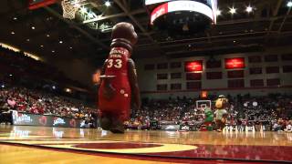 Zooperstars perform at Cincinnati Bearcats game [upl. by Oivalf947]