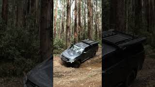 Toolangi Trip Recovery  Mazda BT50 4x4 [upl. by Atinauq]