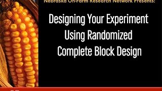 Designing Your Experiment Using Randomized Complete Block Design [upl. by Neona]