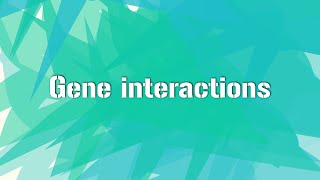 GENE INTERACTIONS Principle of inheritance and variation Class12 [upl. by Kask994]