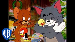 Tom amp Jerry  Family Time is the Best Time 💚  Classic Cartoon Compilation  wbkids [upl. by Rialc]