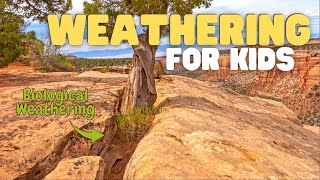 Weathering for Kids  What Is Weathering Fun Introduction to Weathering for Kids [upl. by Ahsii290]