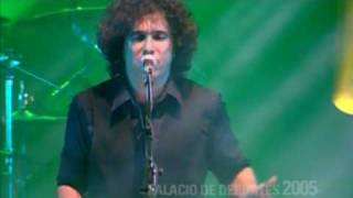 Andrés Calamaro  Flaca 1997  2005 [upl. by Tarr804]