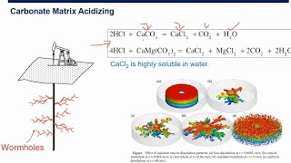 Well Stimulation Carbonate Matrix Acidizing [upl. by Attenaej14]