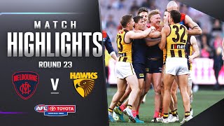 Melbourne v Hawthorn Highlights  Round 23 2023  AFL [upl. by Yttig]