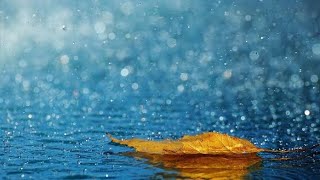 Bollywood rainy instrumental song collection ♥️♥️♥️♥️♥️  Himanshu Kataras choice  💓💓💓💓💓 [upl. by Mieka]