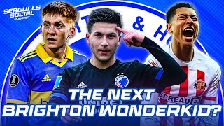 TRANSFER WINDOW SPECIAL Who Is Brightons Next Wonderkid [upl. by Manuela]