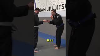 Steven Seagal Aikido Techniques IRL [upl. by Yllek]