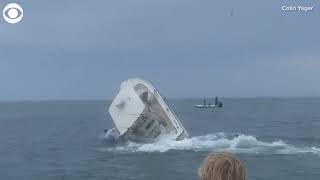 Whale capsizes boat off coast of New Hampshire [upl. by Eerazed162]