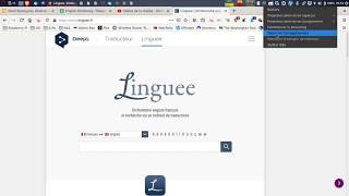 Tutorial How to use Linguee [upl. by Farnsworth]