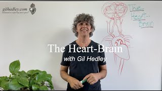 The HeartBrain Learn Integral Anatomy with Gil Hedley [upl. by Alakam42]