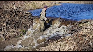 Return to the Icy Beaver Dam [upl. by Aksel]