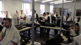 YAHRZEIT TZADIKIM  OHEL REBBE LUBAVITCH [upl. by Durant925]