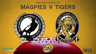 R14 2023  Wangaratta Magpies vs Albury Tigers [upl. by Eidarb678]