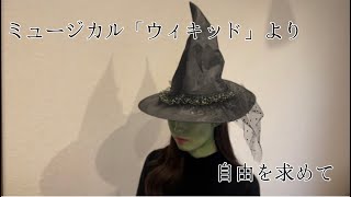 ミュージカル「ウィキッド」より「自由を求めて」Defying Gravity [upl. by Eiramana]