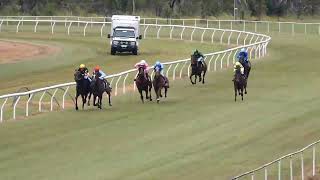 Mareeba 20240526 Race 6 [upl. by Albina]