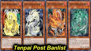 🚨 TENPAI DRAGON Deck Post BANLIST September 2024 [upl. by Boynton]