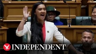 New Zealand MP performs haka in powerful maiden speech resurfaced video shows [upl. by Acirretal820]