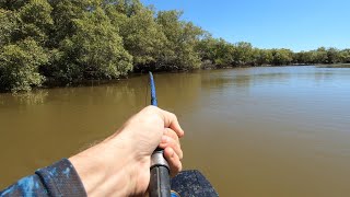 Fishing at Plantation creek NQ Sticko’s Fishing Adventures [upl. by Kerrison]