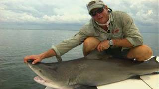 Bull Shark Fishing the Flats on Light Tackle in Homosassa Florida [upl. by Aicia]