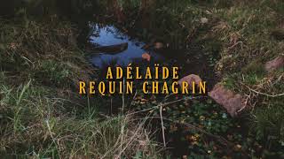 Adélaïde  Requin Chagrin francésespañol [upl. by Romelda792]