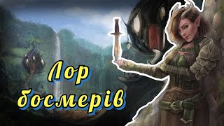 ЛОР БОСМЕРІВ  The Elder Scrolls Lore [upl. by Aeht42]