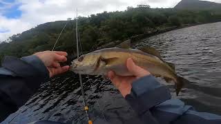 Sea fishing tour of Scotland Part one [upl. by Law]