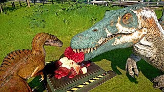 🌍 Jurassic World Evolution  Spinosaurus Vs Spinoraptor Vs Indoraptor Eating Together [upl. by Nirtiac]