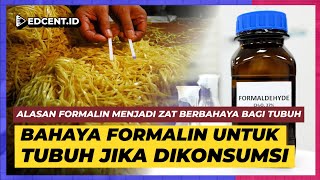 Bahaya Memakan Makanan Mengandung Formalin [upl. by Notnert]