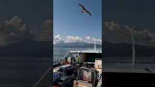 Ferry Journey to Thassos shorts travel explore [upl. by Nyvlem]