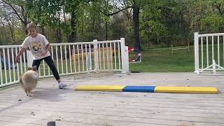 Week 5 agility league [upl. by Standing647]