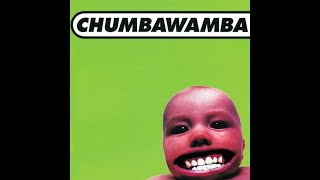 Chumbawamba  Tubthumping I Get Knocked Down  1997 Türkçe Çeviri [upl. by Alfreda]