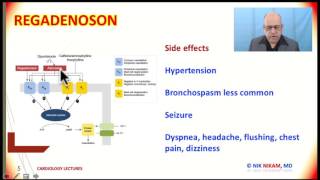 HOW REGADENOSON OR LEXISCAN WORKS BY NIK NIKAM MD [upl. by Addiego]