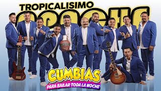 Tropicalísimo Apache Grandes Exitos Cumbias Viejitas Pero Bonitas Para Bailar Lo Mejor De Lo Mejor [upl. by Ailito]