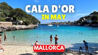 Cala dOr Mallorca PARADISE FOUND but is it busy [upl. by Llerral]