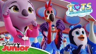 Magical Moment Rock a Bye Birdie  Property  Disney Junior Africa [upl. by Mehs]