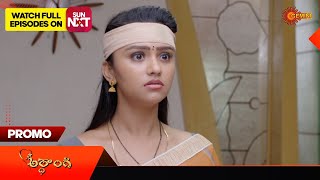 Ardhangi  Promo  02 August 2024 Telugu Serial  Gemini TV [upl. by Ahrens811]