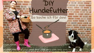 quotDIYquot Hundefutter selber kochen [upl. by Kanor]