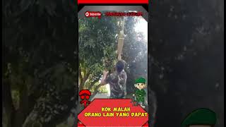 Malah di tangkap orang viralshort tni tniad komando bravo kopassus beritaterkini [upl. by Pontias]