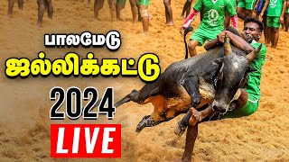 🔴Palamedu Jallikattu 2024 live முடிஞ்சா புடி முடிஞ்சா புடி  பாலமேடு ஜல்லிக்கட்டு 2024  Vikatan [upl. by Alysia]