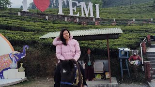 Temi Tea Garden Horse riding🐴🐴🐴🐴 [upl. by Airakaz344]