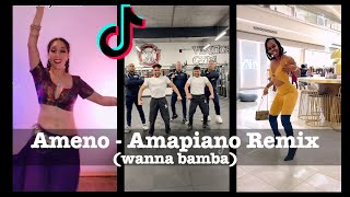 Ameno Amapiano Remix  Chill With the Big Boys  TikTok Challenge [upl. by Ttennaej121]