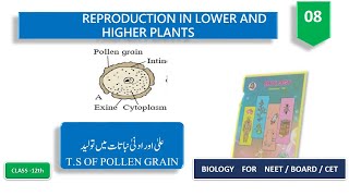 lecture 8 STRUCTURE OF POLLEN GRAINMICROSPORE urduhindi [upl. by Uahc240]