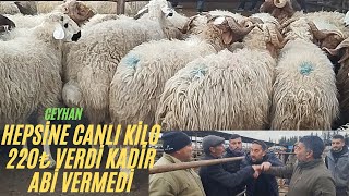 15 MART 2024 CEYHAN KÜÇÜKBAŞ HAYVAN PAZARIkeşfet kurbanlıkfiyatları hayvanpazari kuzulukoyun [upl. by Nesnah]