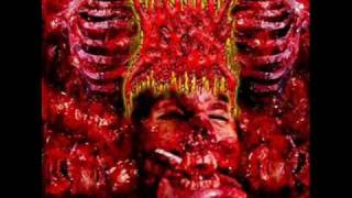 Visceral Grinder  Cannibal Massacre [upl. by Ahlgren965]