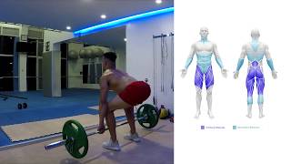 Deadlift  How To Do A Deadlift Benefits amp Muscles Worked [upl. by Kare523]