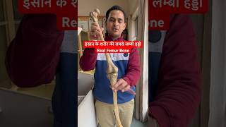 इंसान के शरीर की सबसे लम्बी हड्डी Real Femur Bone जाँग की असली हड्डी shorts viral youtubeshorts [upl. by Ariam72]